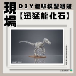 【活動】現場DIY【迅猛龍化石】模型體驗!